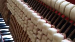 Регулировка полухода демпферов на пианино