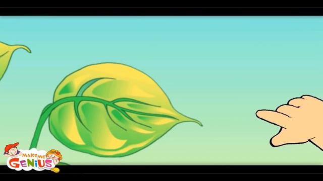 Parts of a Plant for kids : Functions of Different Parts of Plants смотреть онлайн