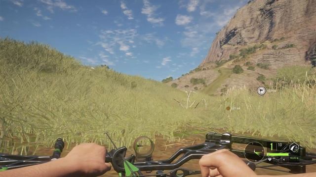Охота на полосатого шакала в theHunter Call of the Wild смотреть онлайн