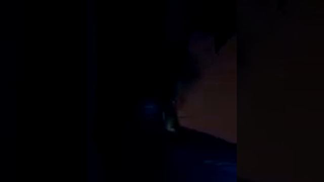 Напала собака смотреть онлайн