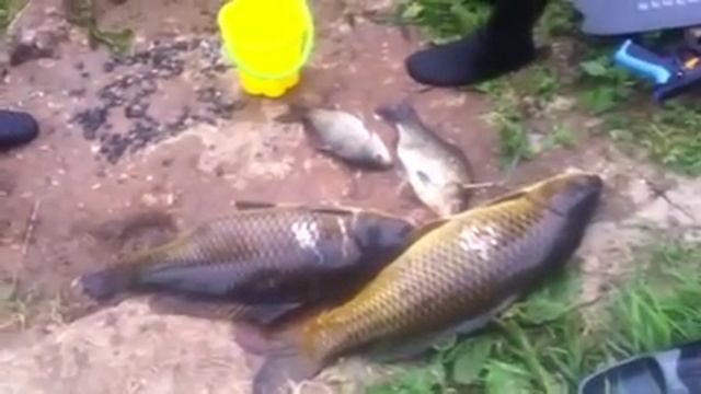 Подводная охота на реке Лопасня смотреть онлайн