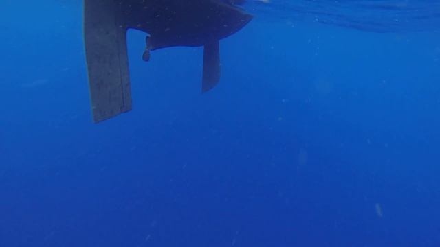 #12 Флорида - Каролина: 600 миль по Атлантике на яхте Babushka. Свежий ветер избранных пленил смотреть онлайн