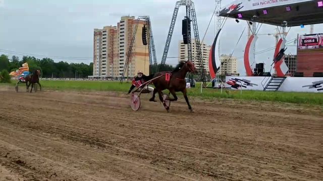 Конные бега в Новочебоксарске: Такого еще не было! смотреть онлайн