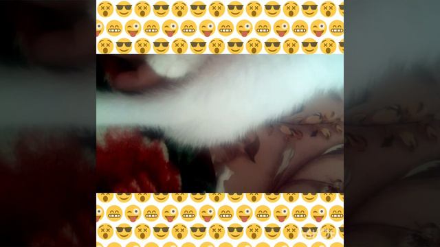 жизнь животных 1 часть смотреть онлайн