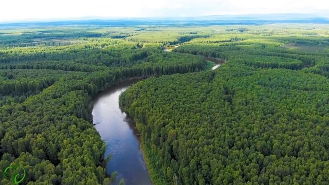 Музыка лечит сердце и сосуды? Успокаивающая музыка восстанавливает нервную систему,расслабляющая #7