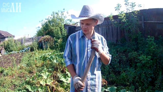 Картофель 2017 смотреть онлайн