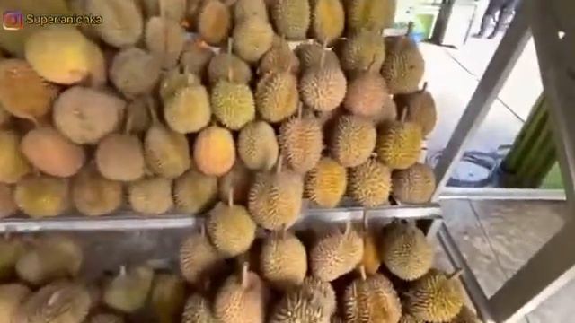 KULINER DURIAN DI PLAZA DURIAN|PERTAMA NEMU DURIAN SUPER LEZAT ENAK RASANYA PAS!! |DURI~RIAU смотреть онлайн