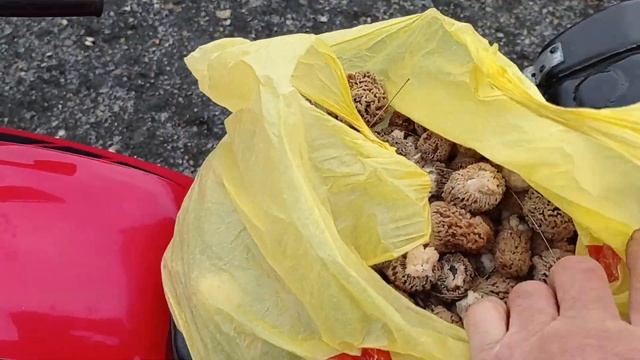 Зачем покупать мотоцикла ,, Боксера,, смотреть онлайн