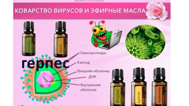 DoTERRA. Татьяна Данкова. На волне аромата смотреть онлайн