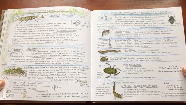 Г. Ингвес: Мишка Бруно в саду и в лесу.