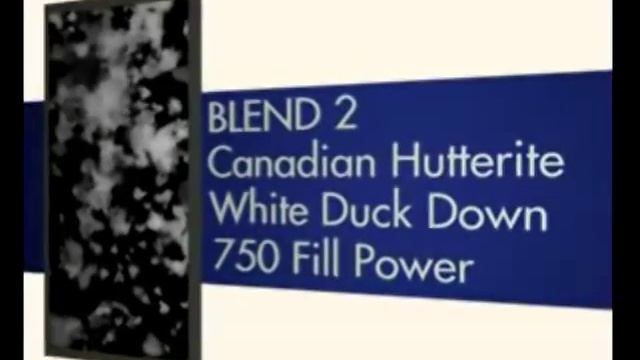 Canada Goose о пухе