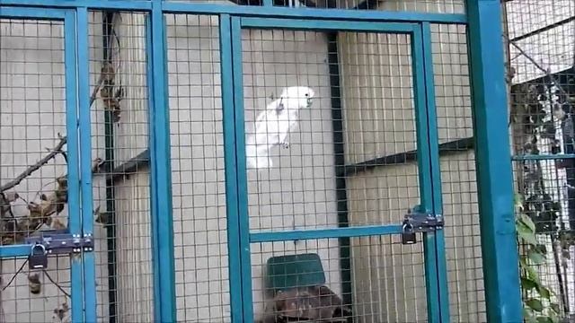 Экопарк Харьков - зоопарк и босоногая тропа: большая прогулка 7 июля 2019 смотреть онлайн