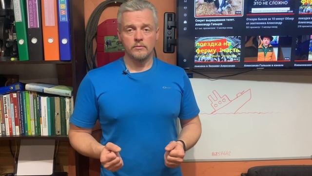 Фазы лактации коровы - обзор от практика смотреть онлайн