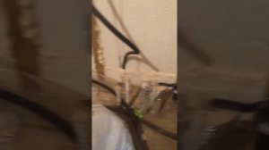 Банька , баня из керамзитоблоков, отделка бани.