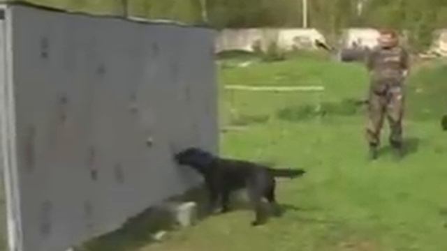 Поиск ВВ и НС через неделю 5