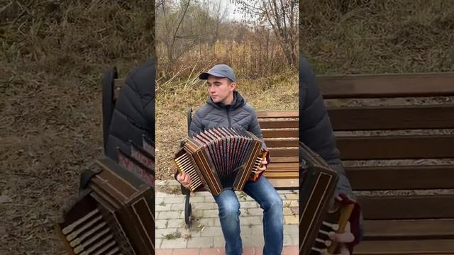 Матаня на Елецкой рояльной гармони мастера Котелкина. смотреть онлайн