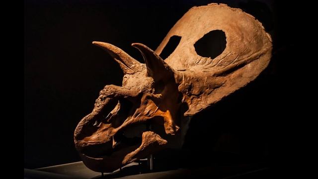 The Paleontology Fringe Theories Iceberg | Tier 2 (Part 1) смотреть онлайн