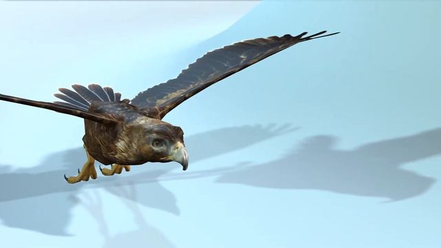 golden eagle -3D Model смотреть онлайн