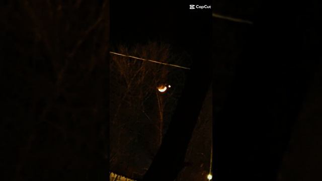 24 марта 2023 год. Луна и Венера. смотреть онлайн