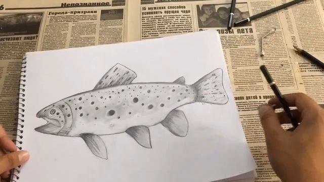FISH | HOW TO DRAW WITH PENCIL | SKETCH | рисуем рыбку карандашом | DRAW n ART смотреть онлайн