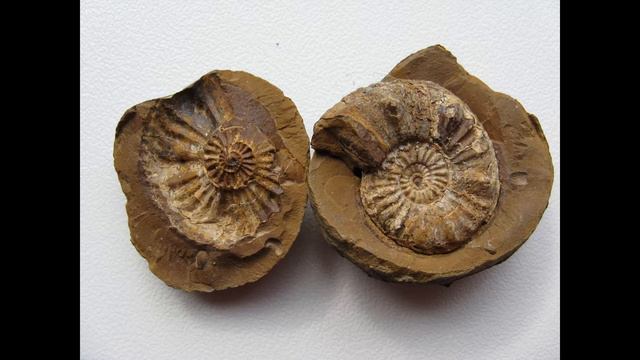 Geological Record and Timescale. Geochronology. Geologic Time. Rock Dating. Popular Science. смотреть онлайн