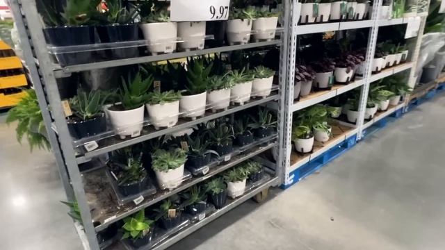 Costco/ БЕСПЛАТНО набрали полную тележку продуктов/ Совет покупателям Костко/ Шопинг/ Флорида/ США