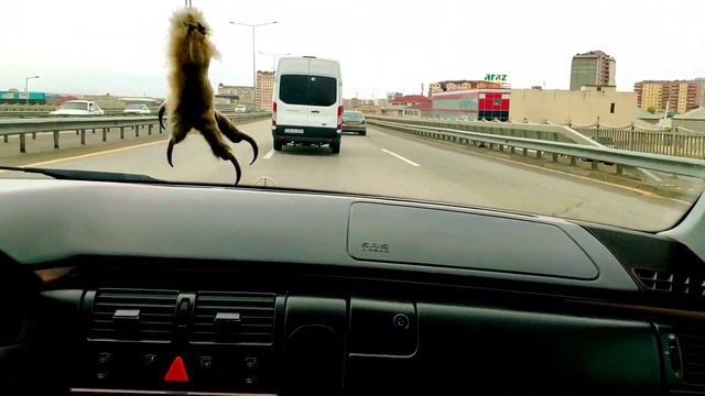 Сакит Самедов . я пьян . назира жонем смотреть онлайн