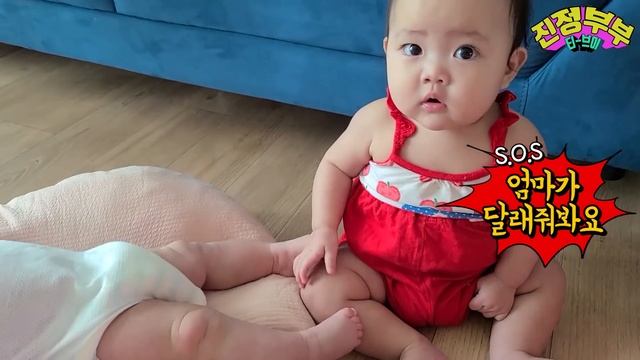 [SUB] 루다의 재밌는 영상 클립 모음집! (???생후6개월~8개월) смотреть онлайн