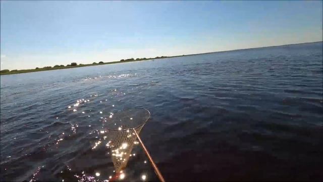 ЧАС РЫБАЛКИ НА ОЗЕРЕ ИЛЬМЕНЬ.часть-4 смотреть онлайн
