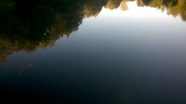 Ловля щуки на попер в в разных погодных условиях (рыбалка удалась!) смотреть онлайн