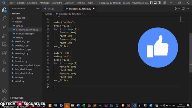 Créer un drapeau avec Turtle (Python) смотреть онлайн