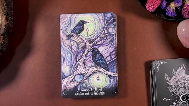 A Powerful Experience | Earth Moon and Shadow Oracle Walk Through |#earthmoonandshadoworacle смотреть онлайн