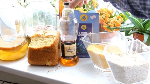 распопов хлеб цельнозерновой на чайном грибе..avi смотреть онлайн