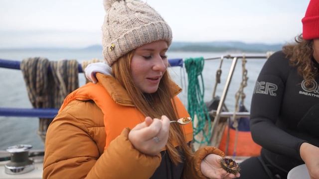 Полуостров Сокровищ. Авачинская бухта смотреть онлайн