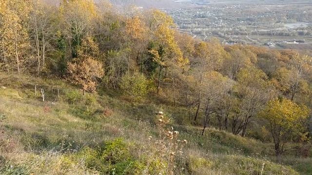 Смотровые площадки (Каменномостский - Большая Азишская пещера), Адыгея смотреть онлайн