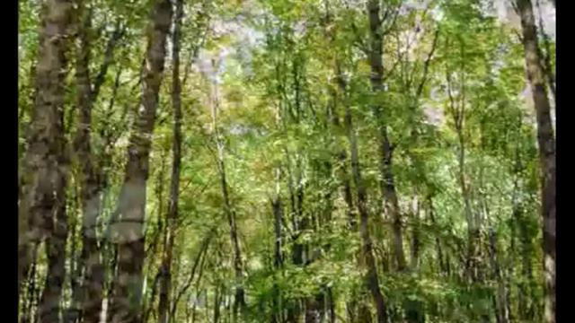 Qəbələ - Qebele - Qabala (Azerbaijan)