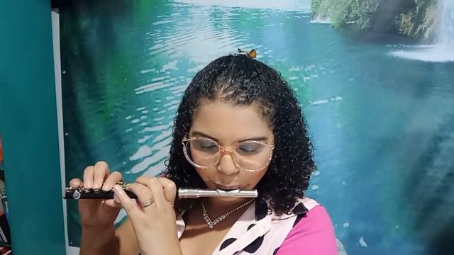 Concerto de Vivaldi para piccolo ou flautim (1° movimento) смотреть онлайн