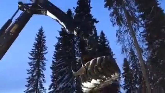 буфало2 смотреть онлайн