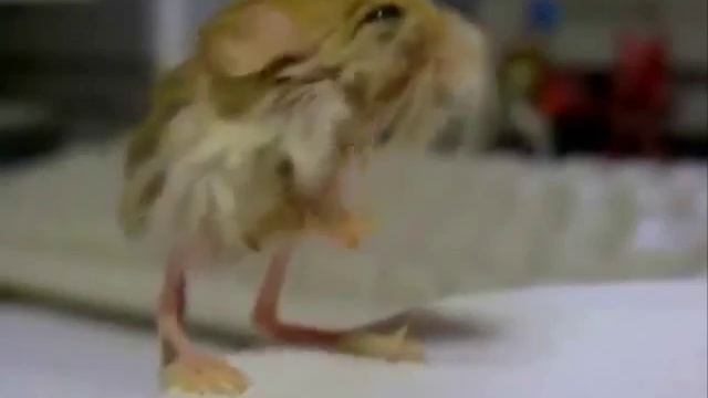 Улыбнись!!! смотреть онлайн
