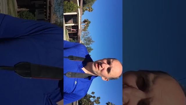 Хвойные деревья смотреть онлайн