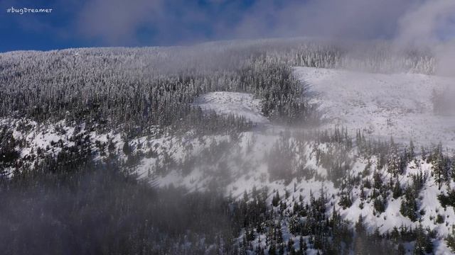 Vancouver Island Winter Time Diving 4k смотреть онлайн