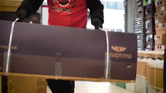Франшиза Цветобаза - сеть цветочных магазинов смотреть онлайн