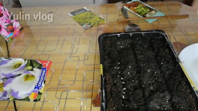 VLOG : ЦВЕТОЧНОЕ НАСТРОЕНИЕ ?/ КРЫЛЫШКИ НА МАНГАЛЕ ? смотреть онлайн