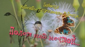 Полет над мечтой  *   Бабочки Надежды Руденко