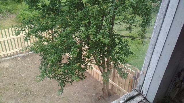 Купили Дом в Деревне за 3000$! Переезд