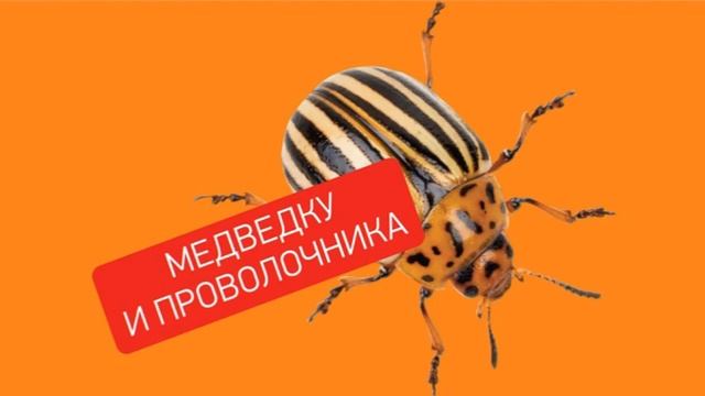 Рубит РОФАТОКС УБИТЬЖУКА смотреть онлайн