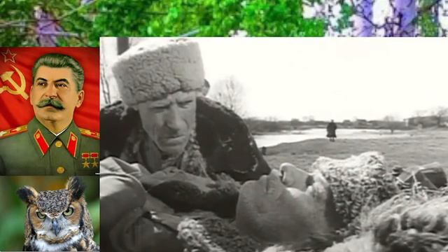 Собаками затравили , чтоб валежник брать не смели . смотреть онлайн