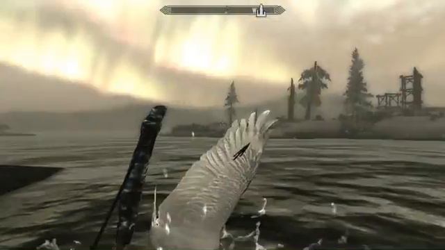 Skyrim Bird Glitch