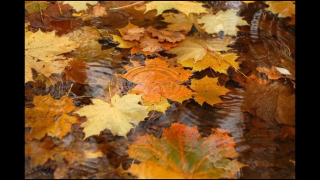 Человек из тюрьмы-2. В. Якушечкин