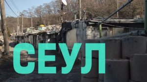 Нейро Сапиенс - Фильм 1. Деньги - Научно-Познавательный фильм